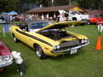 P1010037.JPG